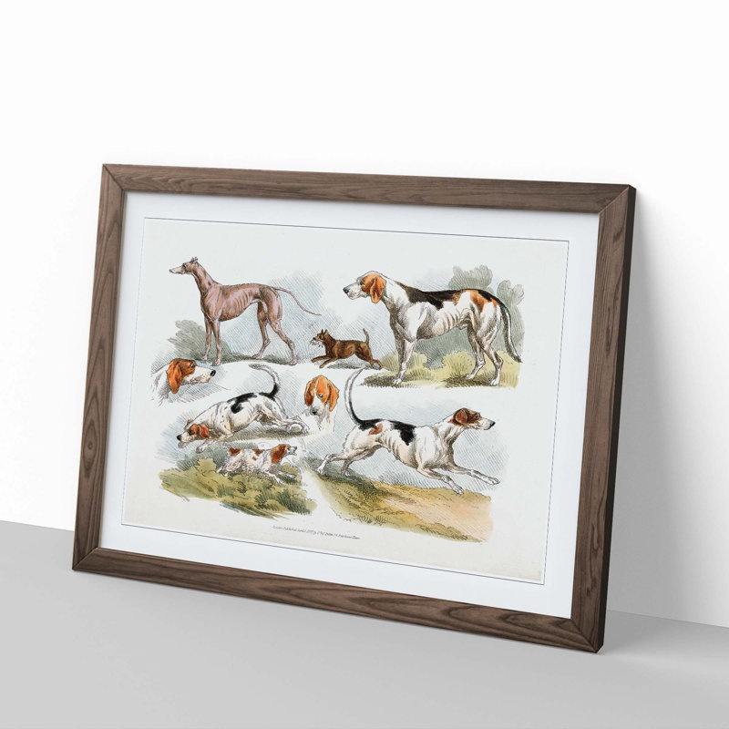 Hunting Dogs by Henry Alken - Framed Print, 36cm H x 48cm W x 2cm D, Walnut Framed