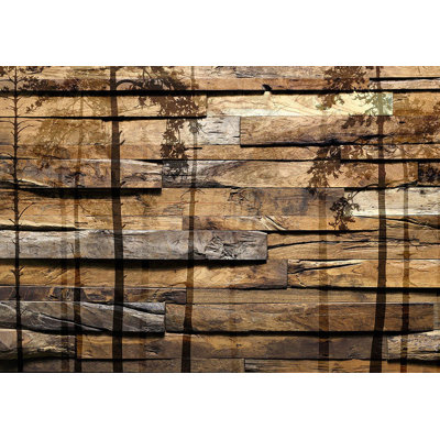 Murale pelez et collez - Ombre d'arbres