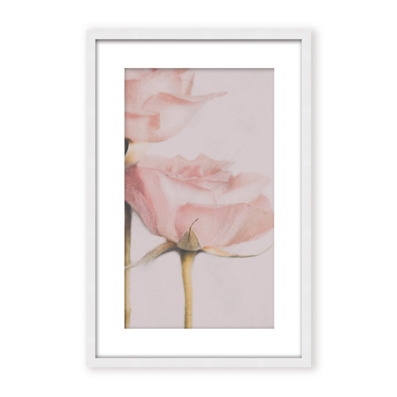 Nature Inspired Two Roses by  - Picture Frame Photograph on Paper, 36" H x 24" W x 1.125" D, Framed Print, White