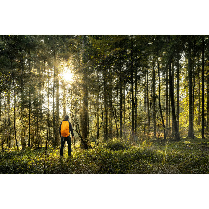 Randonnée dans la forêt par Mixedreality - Photographie sur toile tendue, L 12 po x H 8 po