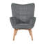 Drucker 68cm Wide Tufted Wingback Chair-1179919502