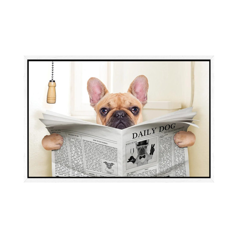 Dog On Toilet Seat Reading Newspaper V by Damedeeso - Print on Canvas, 66.04cm H x 101.6cm W x 3.81cm D, White Framed
