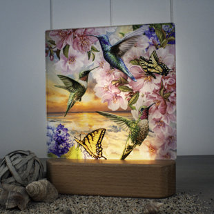 Veilleuse colibri au coucher du soleil