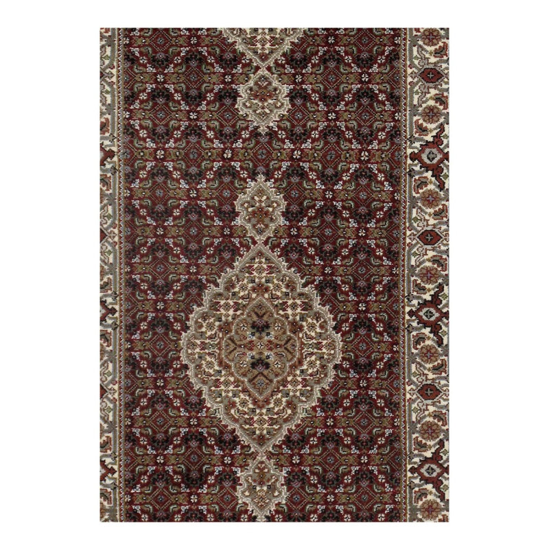 Oriental Area Rug in Rust