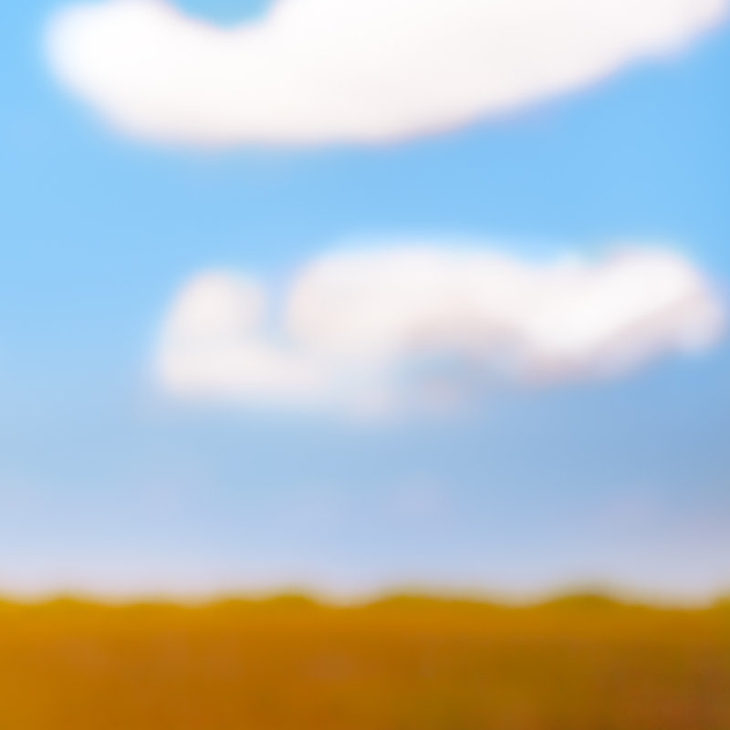 Everglades Sky by Cheryl Marder - Print on Paper, 30" H x 45" W x 0.75" D