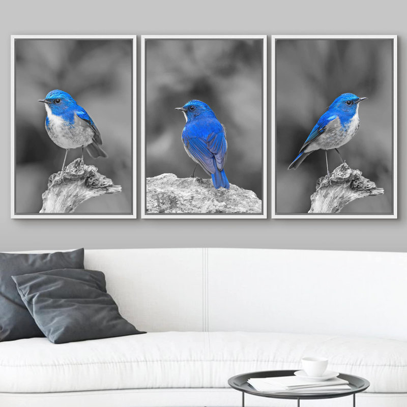 Décoration murale moderne couleur oiseau bleu sur fond noir et blanc, H 24 po x l 48 po, Cadre flottant blanc