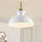 1 - Light Single Pendant-872087964