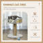 124.46cm H Cat Tree-102423124