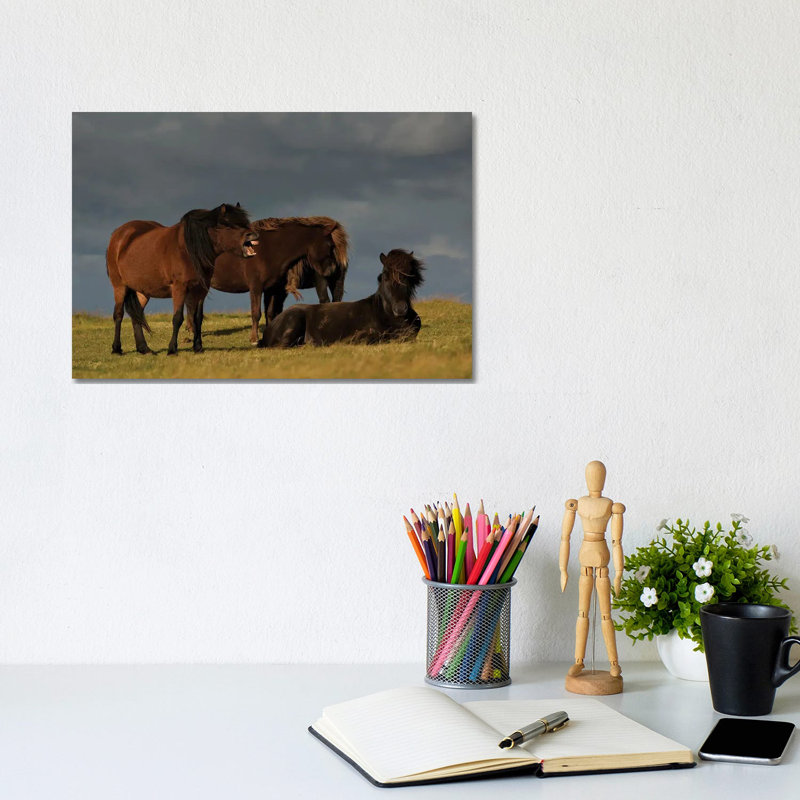Jagger by Torsteinn H. Ingibergsson - Wrapped Canvas Print, 20.32cm H x 30.48cm W x 1.905cm D