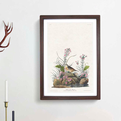 Yellow-Winged Sparrow by John James Audubon - Picture Frame Art Print