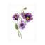 Art sur toile «Bachelor Incado Lavender Lisianthus»-105645153