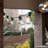 Outdoor 25 - Bulb 300'' Plug-in Globe String Light