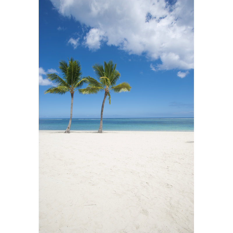 Palms On Mauritius by Jan-Otto - Wrapped Canvas Print, 122cm H x 81cm W