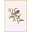 Nesting Navigators Pink 5 Print-544874171