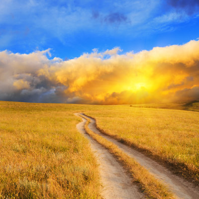 " Sunrise Over Meadow "