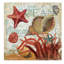 « shell collector ocean », reproduction d’impression sur toile tendue-31871925