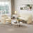  Morden Minimalist Upholstered Chenille Loveseat Sofa, Decorative Sofa for Living Room-736759000