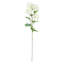 Plastic, Silk Artificial Arrangement-89222281