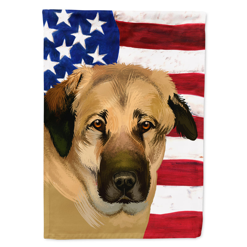 Polyester à 2 côtés 28 x 40 po drapeau maison, Berger d'Anatolie