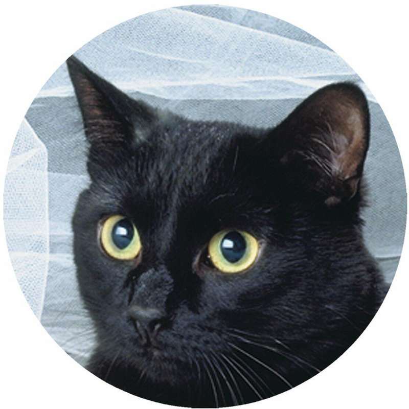 Piece Coaster, Cat Black