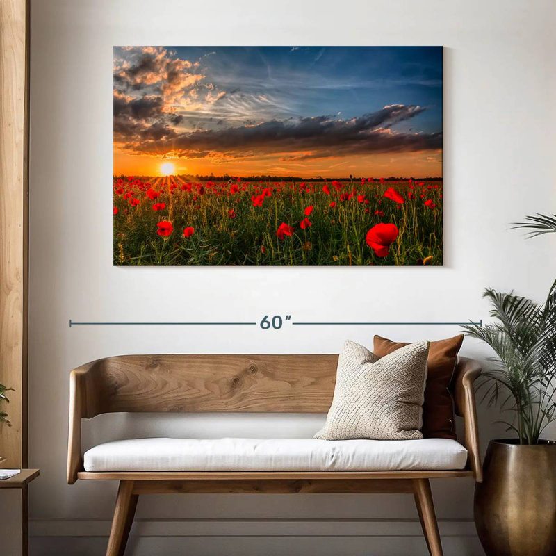 Champ de fleurs de coquelicots Alvord, H 32 po x l 48 po