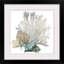 « Coral » par Aimee Wilson - reproduction d'impression sur toile tendue-403263568-403207867-515388065