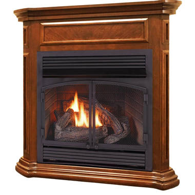 ProCom 36.38'' W Ventless Fireplace Insert | Wayfair