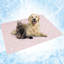 PET - B3022C Nylon rafraîchissant-95187678-95187682