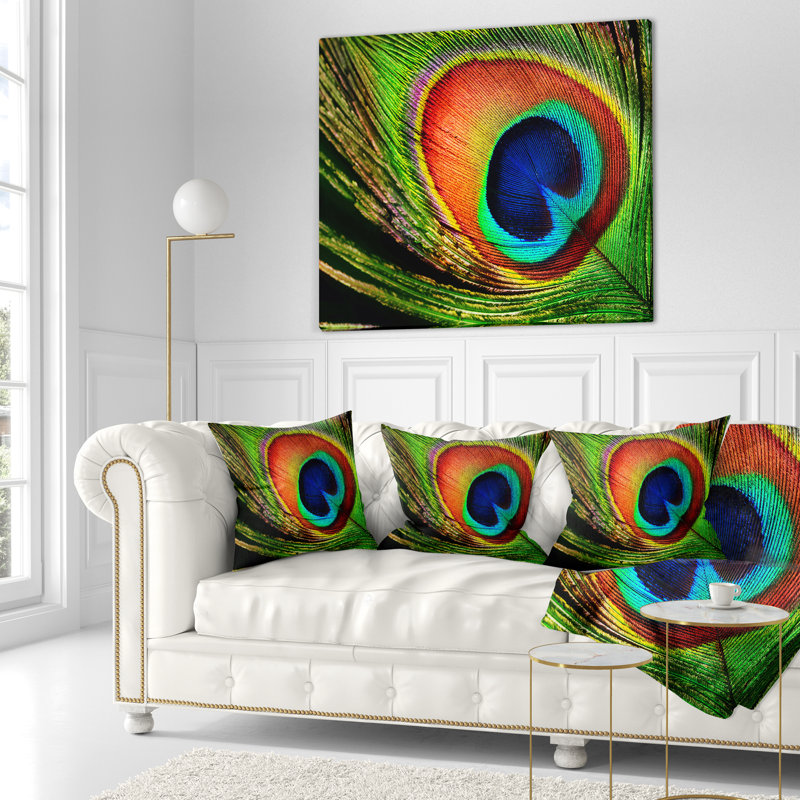 Coussin de photographie à plumes peacock, 18 po x 18 po, Coussin décoratif