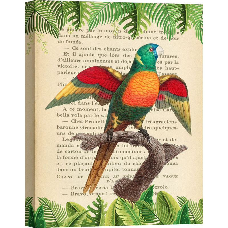 The Blue-Headed Parrot, After Levaillant by Stef Lamanche - Wrapped Canvas Print, 70cm H x 50cm W x 4cm D