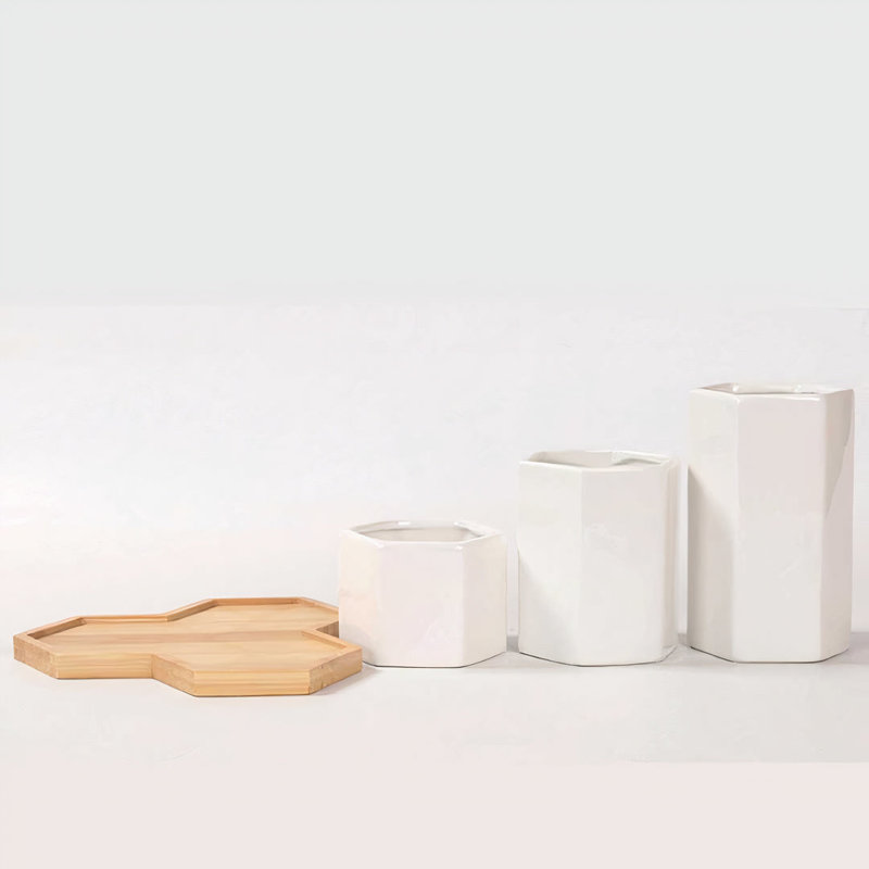 Jhasmine Ceramic Pot Planter