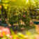Add Ons 90'' H x 54'' W Metal Arched Trellis