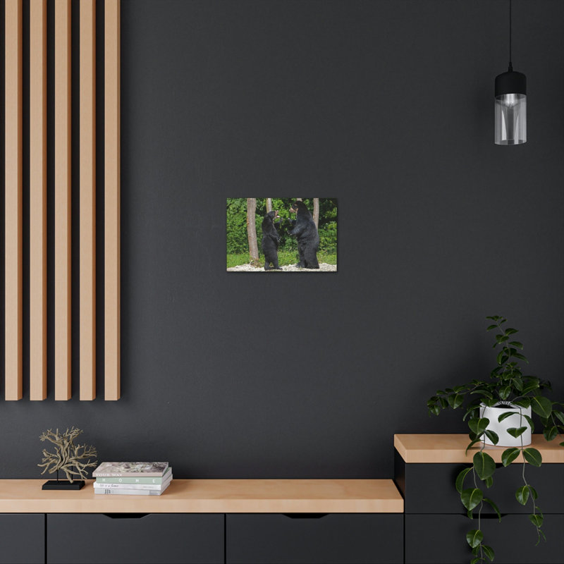 No Frame Print on Canvas, 30.48cm H x 40.64cm W