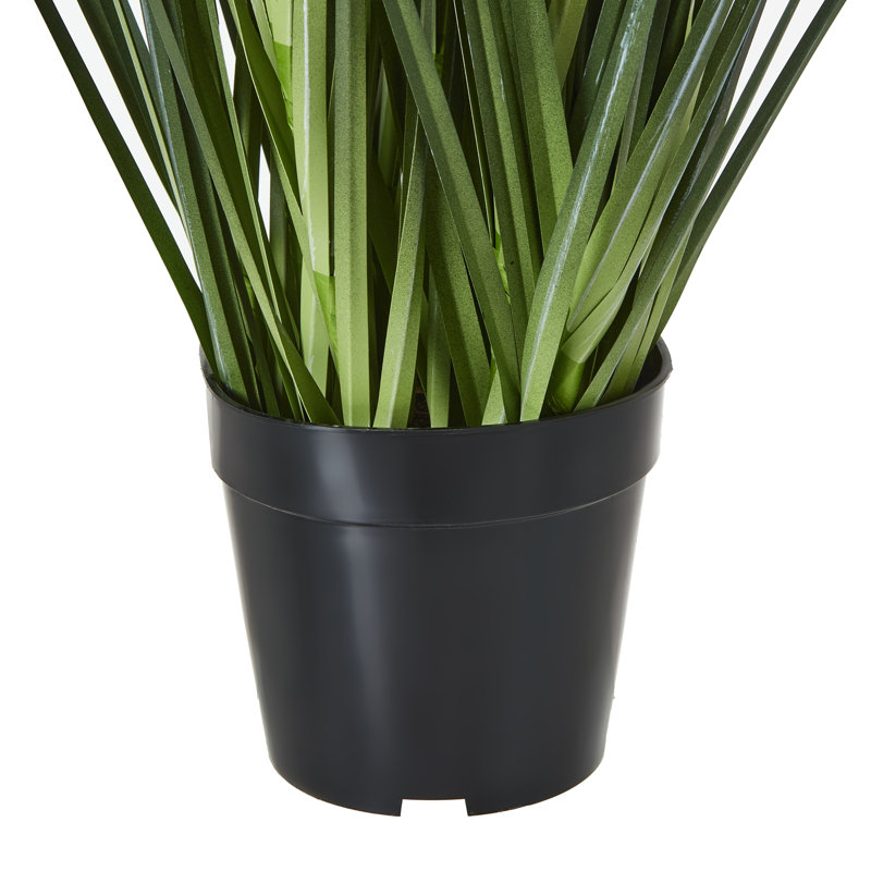 Andaiye 120cm Plant in Pot, Blue