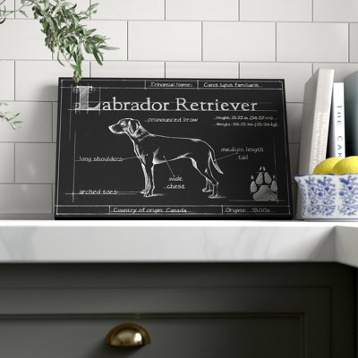 Blueprint Labrador Retriever by Ethan Harper - Painting Print