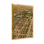 Paysages et parcs résidentiels et paysages urbains-362893167