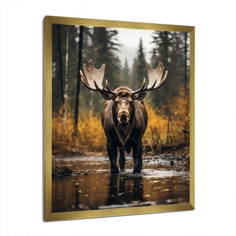 Orignal majestueux de Cammeray en Alaska - Alaska, art mural, Cadre doré simple, H 40 po x l 30 po x P 1,5 po