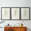 Olive Leaves I - Impression sur mesure encadrée de qualité supérieure - 3 pièces-238732121-238732127