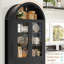 2 - Door Accent Cabinet With 2 Drawers-1634720584