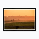 Meadow Sunrise Ii Print by Tim Klein