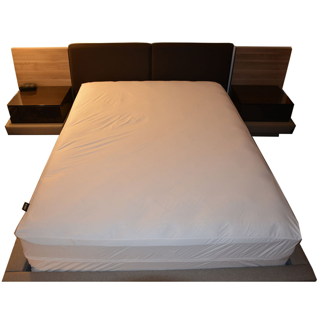 Machine Washable Bedbug Proof and All Side Waterproof Mattress Protector Cover with Inner Edge Binding System With Size Options Arsuite 