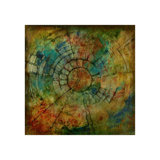 Chrysalis Sphere Print by Joshua Schicker