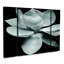 « magnolia », reproduction de photo à multiples images sur toile tendue-1826282423