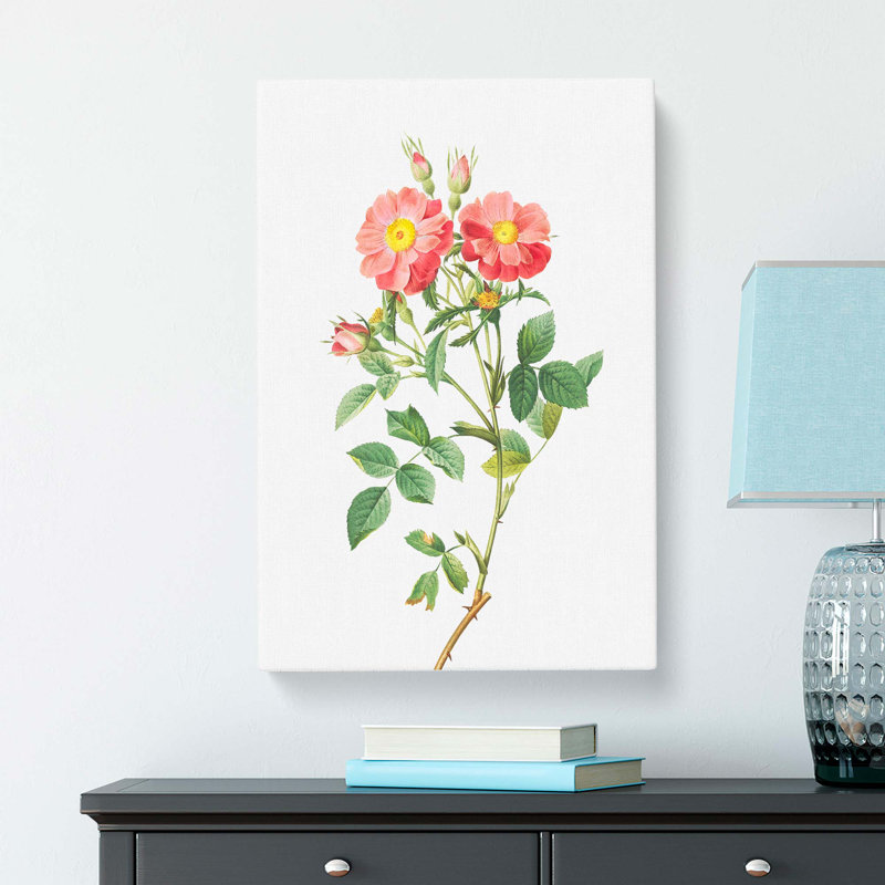 Pink Queen Elizabeths Sweetbriar Rose by Pierre-Joseph Redoute - Wrapped Canvas, 50cm H x 35cm W x 3cm D