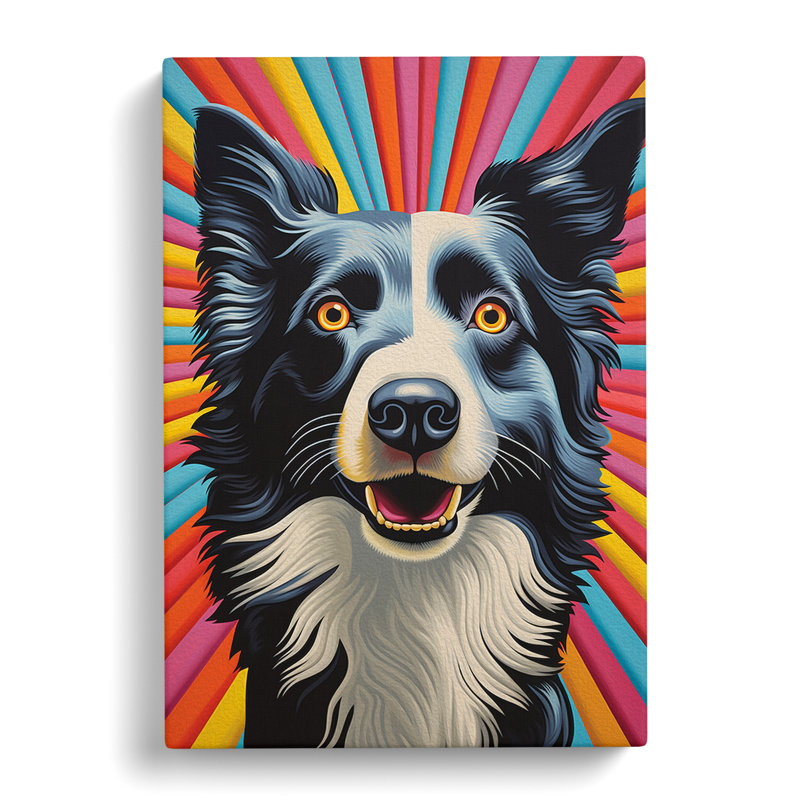 Border Collie Op - Wrapped Canvas, 50cm H x 35cm W x 3cm D