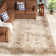 Lyniya Vintage Performance Oriental Rug