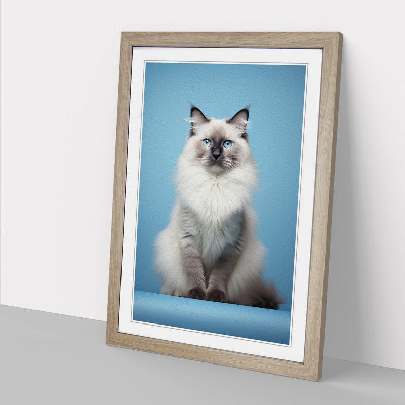 XYZ-FRM-V1223-5377 Ragdoll Cat Minimalism No.3 - Single Picture Frame Print on Wood, Oak, 34cm H x 25cm W x 2cm D