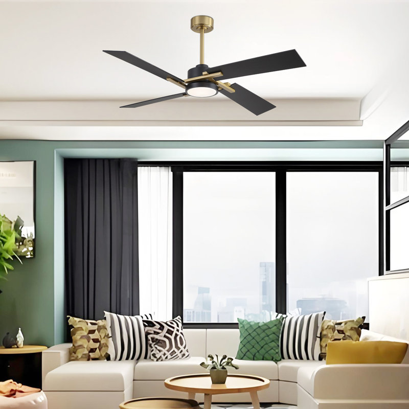 Kyliegh 4-Blade DC Motor Ceiling Fan with LED Light and Remote, Gold, Black, 56" Wide