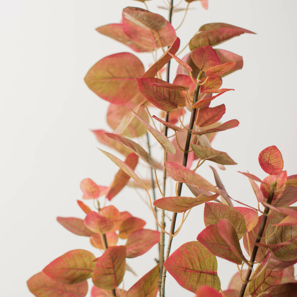 Hather 60" Rogot Rurple Tree in Pot