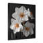 Monochromes blancs jaunes botaniques jonquilles I - jonquilles murales-1638424060-1638424061